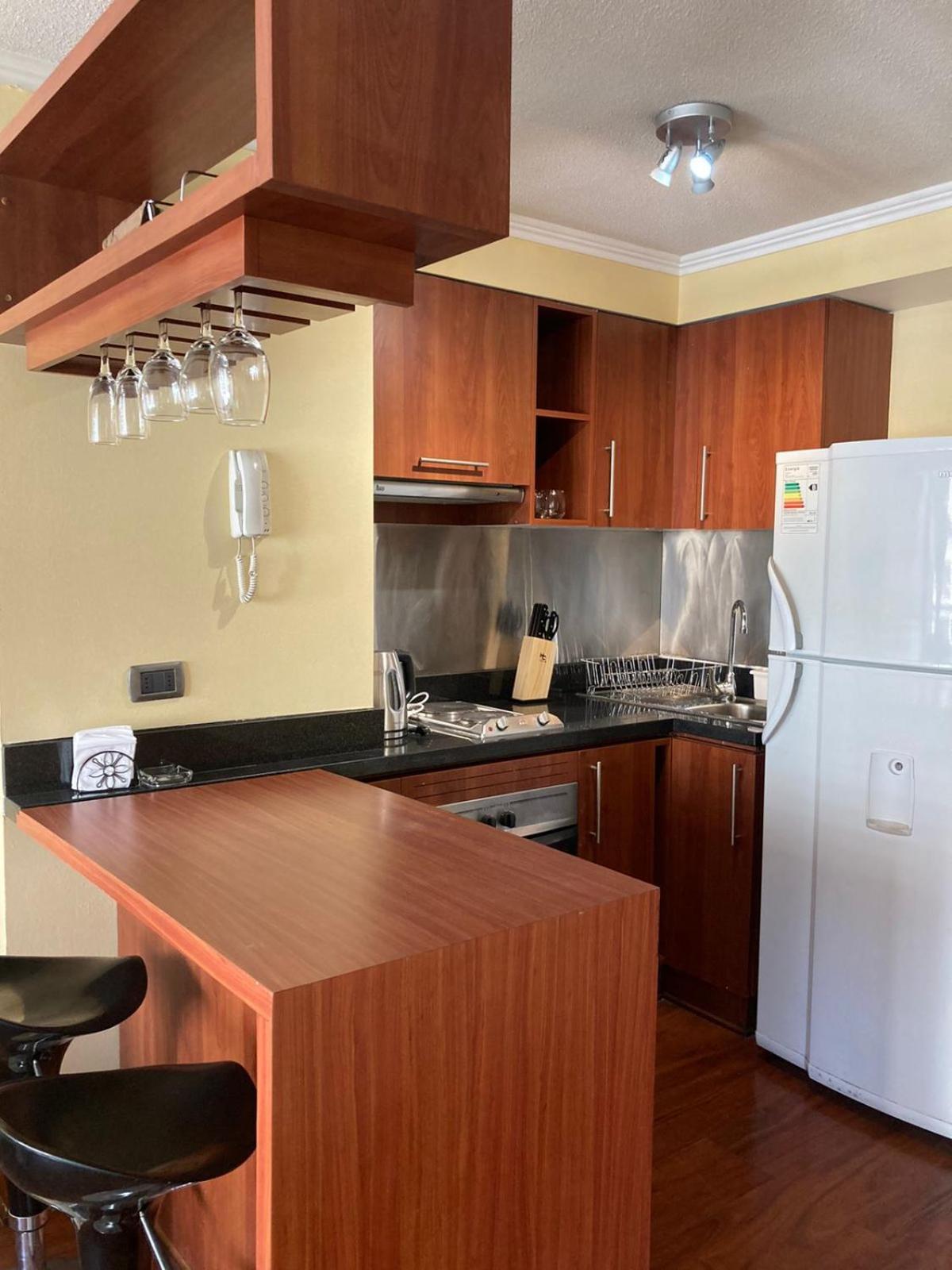 Apartamento Ale Santiago-providencia Santiago